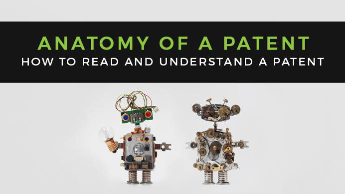 The Anatomy of a Patent